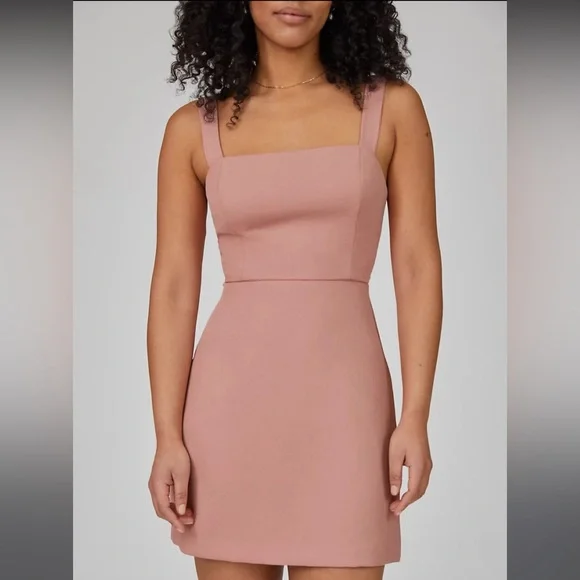 NWT Wilfred “New Écoulement” soft blush pink mini. - Picture 2 of 9